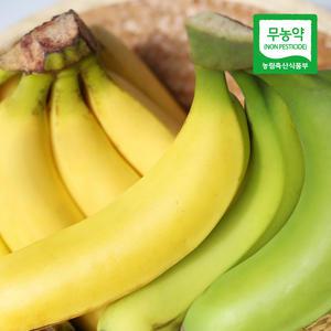 제주 김순일님의 무농약 바나나 1.5kg