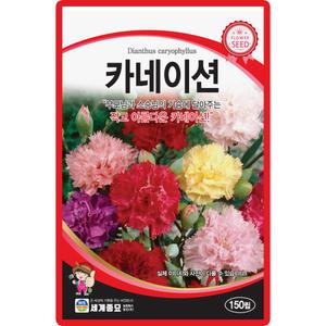 세계종묘 카네이션 씨앗 150립 카네이션 다년생 꽃씨 종자