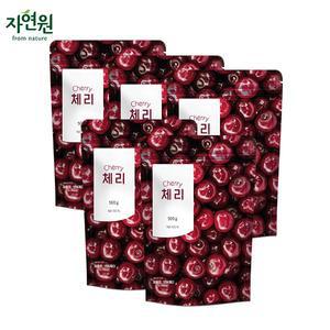 웰팜 자연원 냉동 체리 500g x 5팩 -인증
