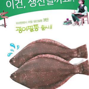 (올핀)본사정품 특허 광어 필통 생선 감성돔 물고기 우럭