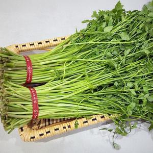 순천만 청정 세척 미나리 2kg