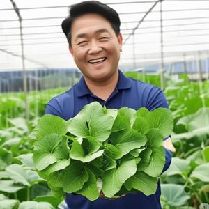 국내산 충북 25년 햇 호박잎 400g 외 쌈채소