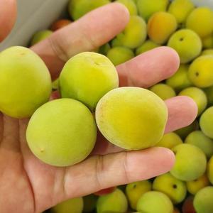 25년 하동 씨제거 쪼갠 씨뺀 매실 홍매실 5kg (6월20일부터)