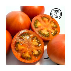 예천 돌토마토 제철과일 산지직송 가정용 3kg 5kg
