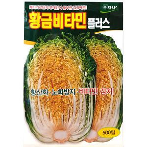 황금비타민플러스 배추 김장배추씨앗 김장씨앗 500립 다나 24년