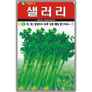 아람종묘 셀러리씨앗 1000립 샐러리씨 쌈채소 종자 미나리과 웰빙채소 서양야채