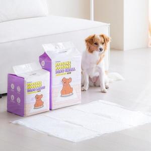 [KGPQS3OF_4B]소형 반려견 50입 뽀송뽀송 강아지 애견 배