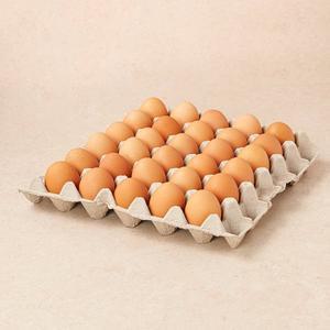 무항생제 계란 30구