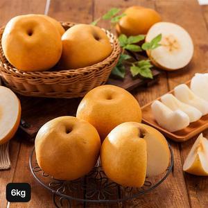 가정용 못난이 신고배 6kg