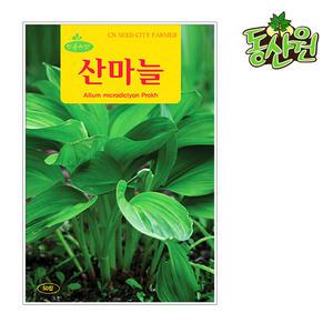 산마늘씨앗 50립 명이나물씨앗 민속채소 종자