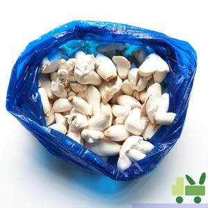 꼬마새송이 2Kg (1봉)