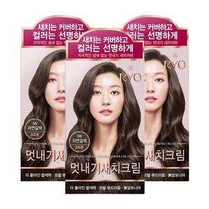 려 우아채 멋내기 새치크림 5N자연갈색 3개