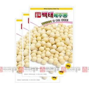 [아시아종묘]씨앗 콩 백태 50g 3ea 메주콩