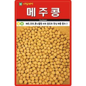 아람종묘 메주콩 씨앗 30g 국산 채종 백태콩씨 종자