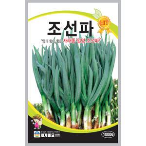 세계종묘 조선파 씨앗 1000립 토종 재래종 대파씨 종자
