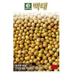 백태 씨앗 30g 메주콩 씨앗