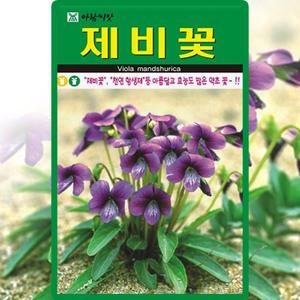 아람종묘 제비꽃 씨앗 500립 비올라 씨 꽃 종자