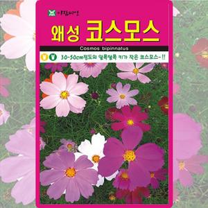 아람종묘 왜성코스모스 씨앗 200립 키작은 코스모스 꽃씨 야생화 종자