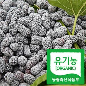 [해남미소] (주)명랑 급속냉동 오디 600g(유기농)
