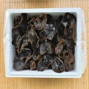 [강원더몰]설악산초록농장 생목이버섯(1kg)