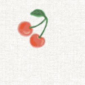 파크론 유아 양면 놀이방 매트 체리봉봉 210x140x1.5