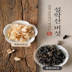 국내산 친환경 무농약 설악산 생목이버섯 1kg