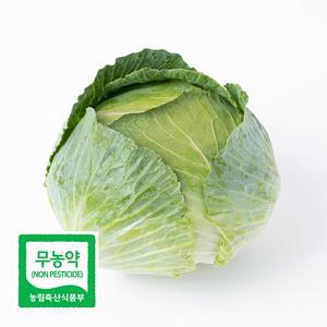 초록초록팜 무농약 제주 월동 친환경 양배추 1kg 3kg 5kg 건강식