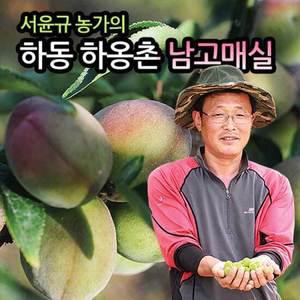 [6/18순차출고] 서윤규농가의 하동 홍매실(남고매실) 왕왕특 10kg/하동매실