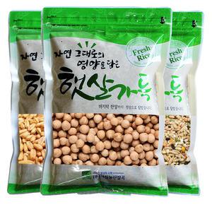 체험상품 슈퍼푸드 500g 4종 모음 귀리 병아리콩 렌틸콩 21곡혼합곡