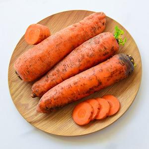 농부선별 아삭달큰 국내산 흙당근 10kg 못난이 주스용