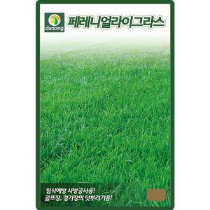 페레니얼라이그라스 잔디 씨앗 20g 공원 골프장 덧뿌리기용 잔디씨 종자