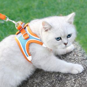 비투비돔 고양이 하네스 고양이 목줄 산책줄 가슴줄