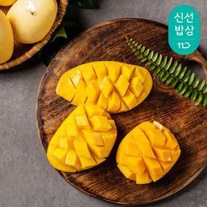 [품질보장]태국에서 직접 수입한 황금빛 골드망고 4~6입(2kg이상)