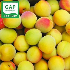 [참다올]하동 GAP 황매실 5kg(대 29-31mm 3번과)
