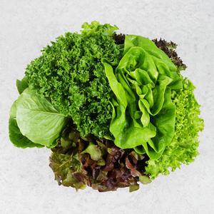 국내산 샐러드 쌈채소 1kg 4~6종