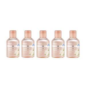 오스템 쿨제로가글 구강청결제 250ml 5개