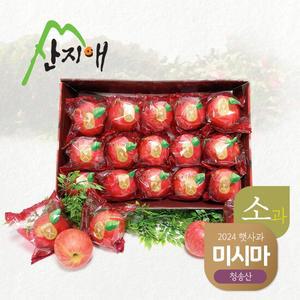 씻어나온 어린이 꿀사과 2.7kg 1box (소과) / 청송산 미시마 당도선별