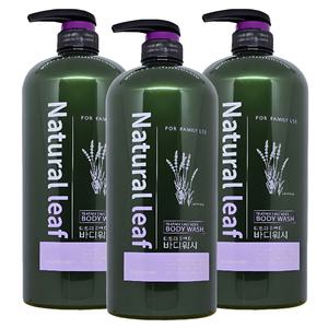 네추럴 리프 티트리 오일 라벤더 대용량 바디워시 1500ml x3개