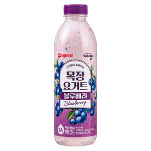 서울우유 목장 요거트 블루베리 750ml 아이스박스 포장