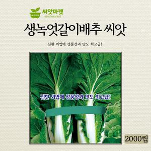 KS종묘 생녹엇갈이 배추 씨앗 25g 생육이 빠르고 진한 외엽의 상품성과 맛좋은 최고급 우수선별 종자