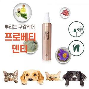 [셀러허브 패션][JHQPP4T2_4B]반려동물 고양이 간식 식사관리 치아에센스