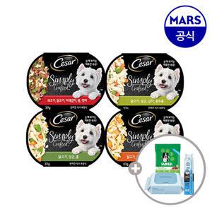 시저 심플리 크래프티드 15개골라담기+아이엠즈100g+칫솔+베베숲물티슈1팩