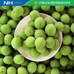 [장터할매]구례 청매실 5kg 10kg
