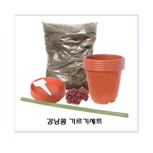 강낭콩 관찰세트 (5인용)