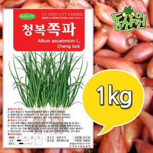 2025년 채종 국산 쪽파씨앗 1kg 쪽파종자