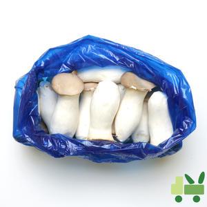 새송이 8Kg(4봉) 특