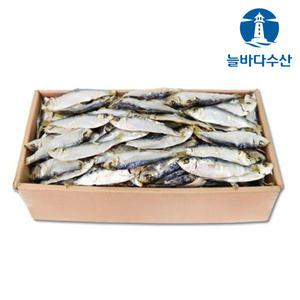 국물 육수용 디포리 1kg 최상급 남해 통영 햇 밴댕이 국멸치 고노리 대멸치 한박스