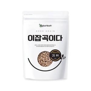 [이잡곡이다] 24년산 국산 강진 햇 귀리 5kg