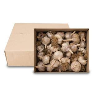 서산 대서마늘 햇마늘 특 3kg