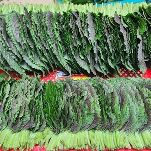 찹찹이깻잎 밀양깻잎 당일수확 당일발송 500g 1kg